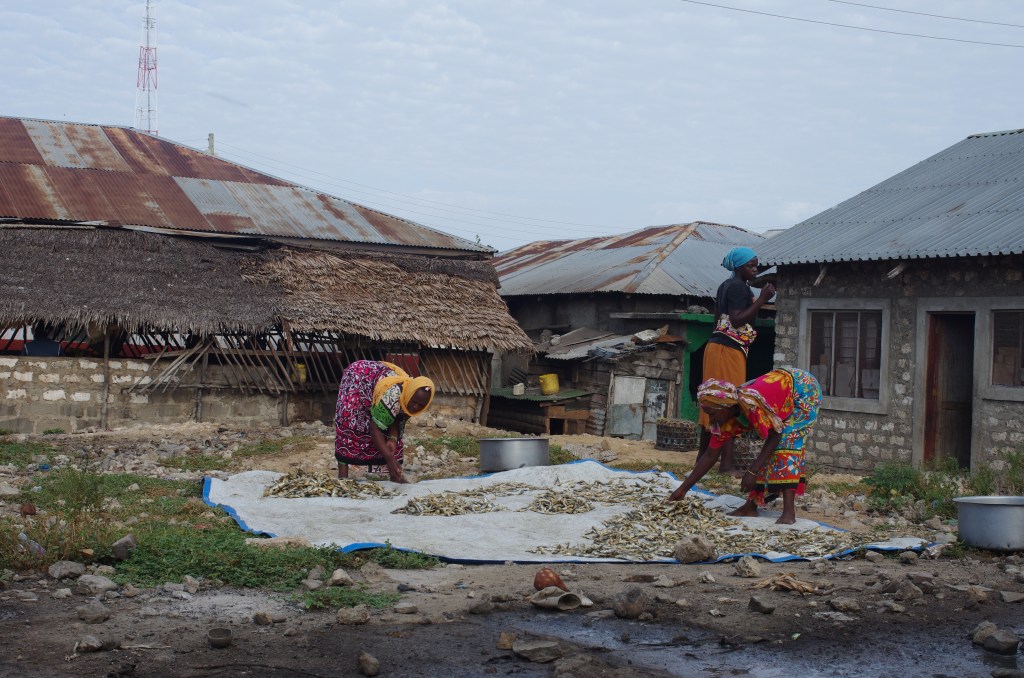 From observers to decision-makers: How can we advance women’s roles in small-scale fisheries management